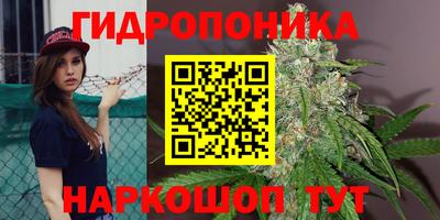 ГАЛЛЮЦИНОГЕННЫЕ ГРИБЫ Краснодар