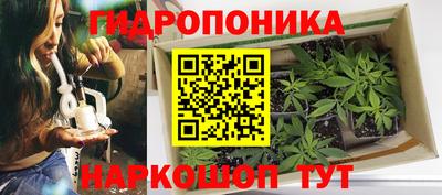 ГАЛЛЮЦИНОГЕННЫЕ ГРИБЫ Краснодар